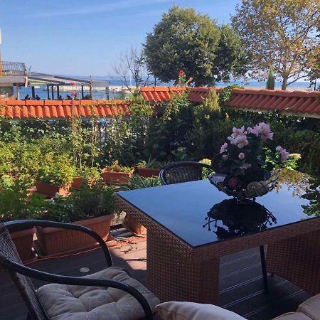 Breeze Guest House تشيرنوموريتس المظهر الخارجي الصورة